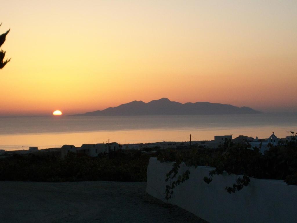 Koronios Fira (Santorini)